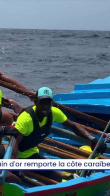 Grain d'or remporte la côte caraÏbe des gommiers