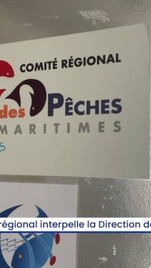Marins-pêcheurs : un nouveau cri d'alerte