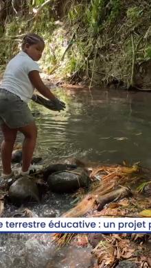 Aire terrestre éducative : un projet pour sensibiliser les élèves à l’environnement
