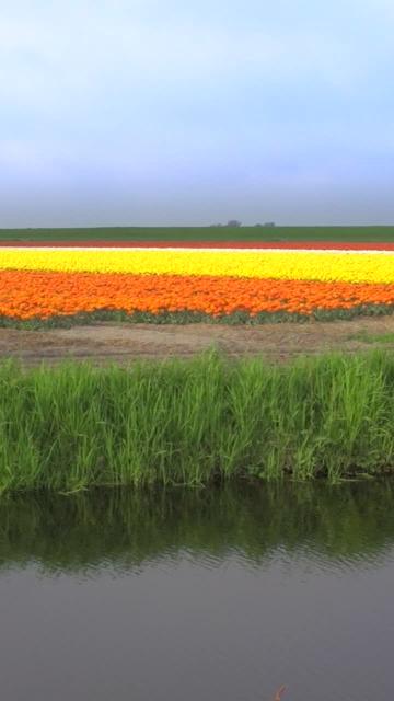 Hors des Sentiers battus - PAYS-BAS