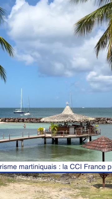 Tourisme martiniquais : la CCI France prend le pouls du secteur