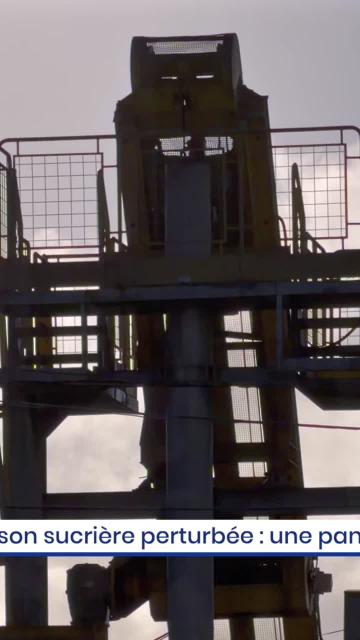 Saison sucrière perturbée : une panne stoppe les récoltes et inquiète les planteurs