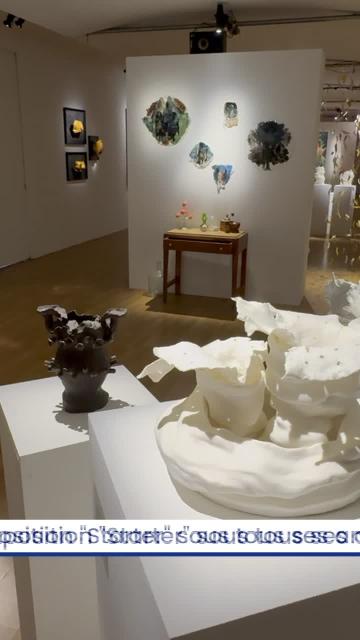 L'exposition "Starter" sous tous ses angles !