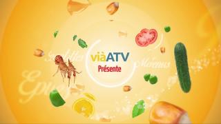 Gelée de groseille passion