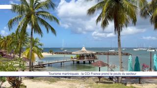 Tourisme martiniquais : la CCI France prend le pouls du secteur