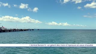 L'Amiral Monarc'h : un géant des mers à l'épreuve en eaux chaudes