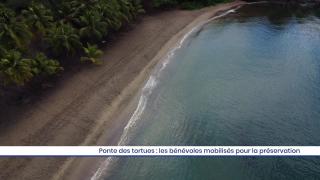 Ponte des tortues : les bénévoles mobilisés pour la préservation