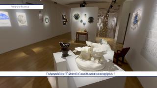 L'exposition "Starter" sous tous ses angles !