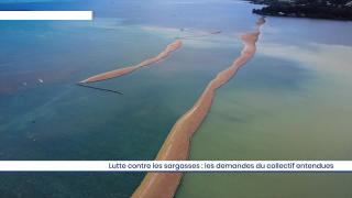 Lutte contre les sargasses : les demandes du collectif entendues