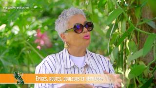 35 — Épices, routes, douleurs et héritages