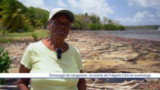 Échouage de sargasses : la ravine de Frégate 2 Est en surcharge
