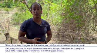 JT DU 20 Juillet 2026