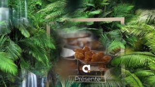 58 — Alex de la Martinique a l'ailleurs